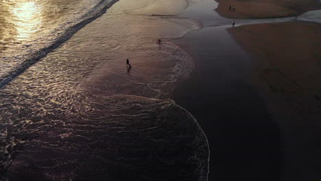 Aerial-shot-of-a-sand-beach-at-incredible-golden-sunset,-waves,-kids-playing,-dogs-running-around,-people-having-fun-–-great-vibes-and-energy