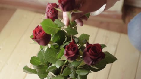 Choosing-single-red-rose-of-of-a-bouquet-of-red-roses-in-a-vase