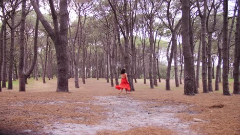 Dancing-in-red-in-the-beautiful-pine-forest-of-Australia---wide-shot