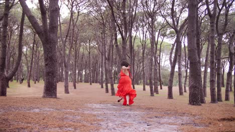 Gorgeous-Lady-In-Red-Dress-Gracefully-Dancing-And-Running-Between-The-Trees-At-The-Pine-Forest-In-Australia---Wide-Shot