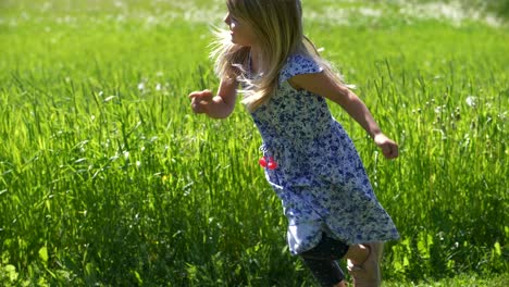 Four-year-old-blonde-Caucasian-girl-running-in-summer-scenery,-slow-motion