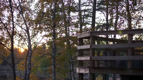 Young-boy-in-a-lookout-tower-enjoying-beautiful-view-of-lake-and-yellow-trees,-cold-autumn-sunset