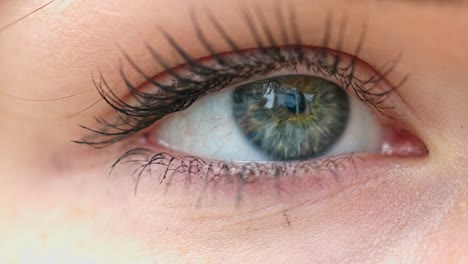 Extreme-Nahaufnahme-Des-Grünen-Auges-Einer-Dame,-Das-Schwarze-Wimperntusche-Trägt-Und-In-Verschiedene-Richtungen-Schaut