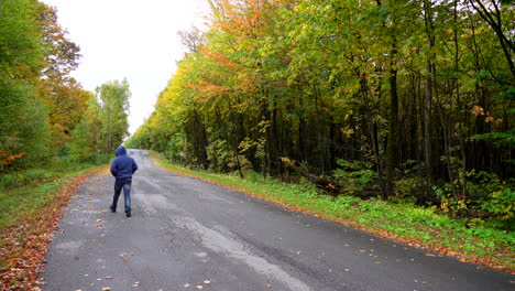 Man-walking-on-a-small-road-surrounded-by-maple-autumn-maple-leaf