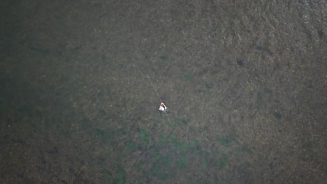 Drohne-Aus-Der-Vogelperspektive-über-Einem-Mann-Fliegenfischen-Im-Fluss-Provo-In-Den-Bergen-Von-Utah