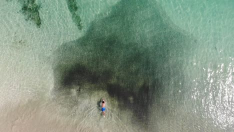 Panama-Im-Februar-Drohne-Schießt-Insel-Contadora,-Die-Zwischen-Fischen-Schwimmt,-Die-Mit-Einer-Drohne-Gefangen-Werden-10