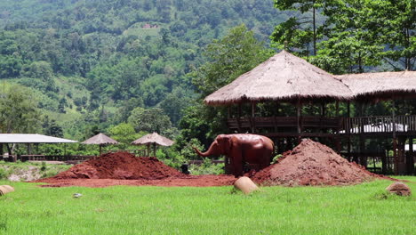 Elephant-standing-between-two-red-dirt-piles-in-a-field