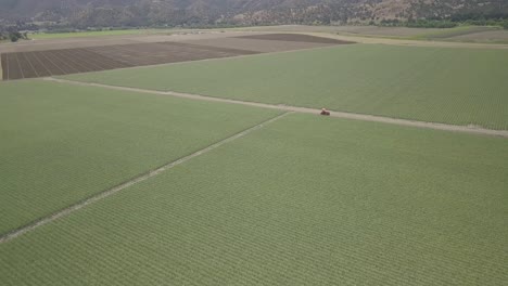Tierras-De-Cultivo-Rurales,-Imágenes-Aéreas-De-Cultivos-Verdes-En-Expansión,-Tractor-Estacionado-Y-Colinas-Doradas-Y-Cielo-Azul-En-El-Fondo,-En-El-Centro-De-California-En-El-Verano