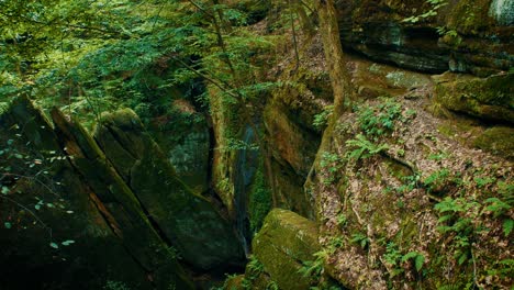 Overhead-view-of-a-small-waterfall-trickling-down-the-side-of-a-moss-covered-cliff-surrounded-by-trees,-ferns,-and-other-vegetation