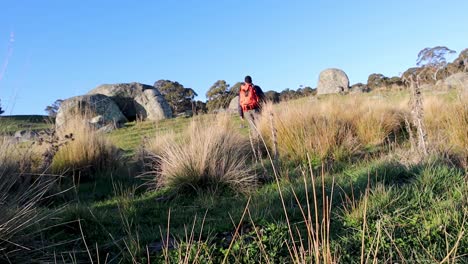 Hiker-walking-past-long-grasses-on-hillside,-Blue-Mountains,-Australia