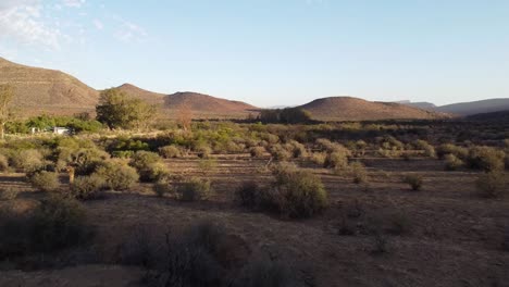 Paisaje-Seco-De-La-Granja-Karoo-Cerca-De-Graaff-reinet-Durante-La-Sequía-Con-árboles-De-Espinas-De-Camello