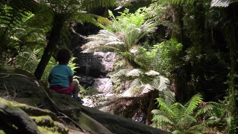 A-wide-shot-of-a-young-child-looking-in-awe-at-a-forest-waterfall