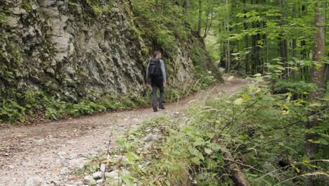 Man-walking-through-Pokljuka-Gorge-in-Slovenia-during-spring-in-the-Triglav-National-Park-11