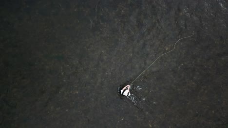 Drohne-Aus-Der-Vogelperspektive-über-Einem-Mann-Fliegenfischen-Im-Fluss-Provo-In-Den-Bergen-Von-Utah-1