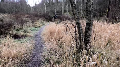 Lady-walker-in-a-birch-forest-in-winter