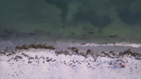 Aerial-shot-flying-along-a-sandy-beach-over-the-Atlantic-Ocean-waves-breaking-against-the-sandy-Maine-coast