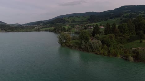 Flight-Over-Trees-Revealing-Boats,-Lake-Gruyère,-Switzerland