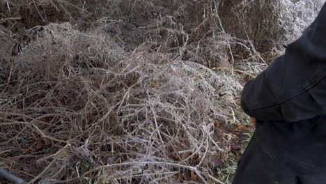 SLOW-MOTION:-A-man-urinates-outdoors-on-a-frozen-bush-in-the-forest-daytime-during-winter