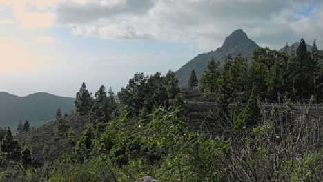 Resumen-De-La-Carretera-De-Montaña-De-Tenerife-Con-Muchos-árboles-Y-Nubes