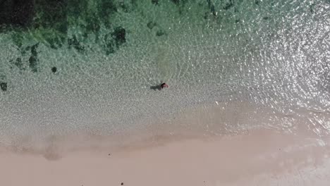 Panama-Im-Februar-Drohne-Schießt-Insel-Contadora,-Die-Zwischen-Fischen-Schwimmt,-Die-Mit-Einer-Drohne-Gefangen-Werden-16
