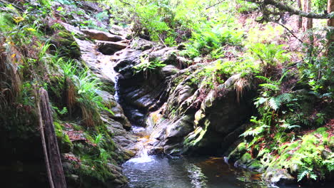 A-secret-hidden-waterfall-deep-in-the-Knysna-Forest