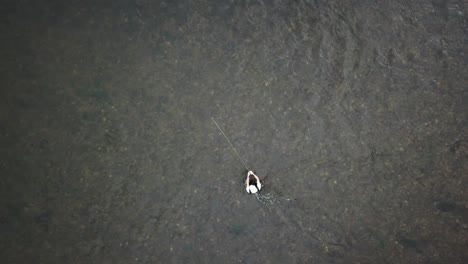 Drohne-Aus-Der-Vogelperspektive-über-Einem-Mann-Fliegenfischen-Im-Fluss-Provo-In-Den-Bergen-Von-Utah-3