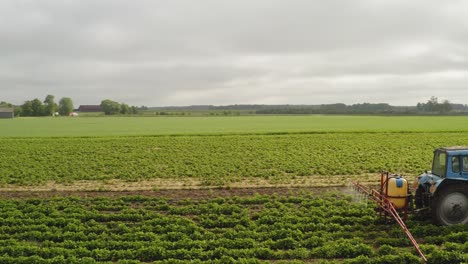 Aerial-circular-shot-following-a-tractor-spraying-strawberry-field-against-disease