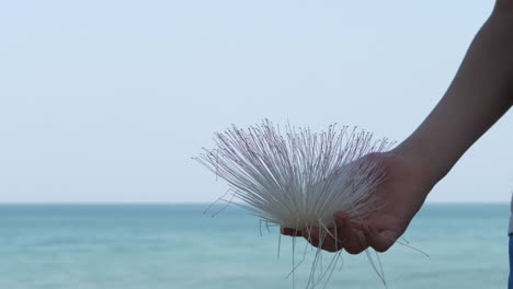 Hand-with-sea-anemone-and-ocean-in-background