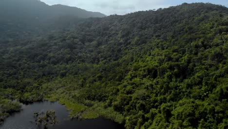 4k-drone-flight-rainforest-and-black-river
