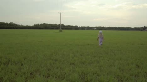 Young-cool-girl-in-cute-dress-walking-away-in-summer-field,-running-away-from-home