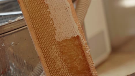 Beekeeper-scrapes-honey-from-honeycomb-with-fork