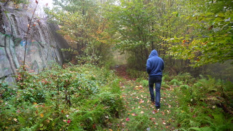 Man-walkin-in-a-forest-trail-in-eastern-Canada-Autumn-1