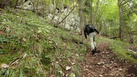 Un-Hombre-Caminando-Por-Un-Bosque-Muy-Verde-En-Un-Día-Nublado-En-Eslovenia-Ubicado-Cerca-Del-Pueblo-De-Gozd-Martuljek-2
