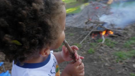A-young-boy-eats-a-roasted-marshmallow-from-a-stick-that-has-been-cooked-on-a-backyard-camp-fire