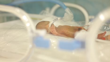 Premature-Newborn-Baby-in-the-Tub-2