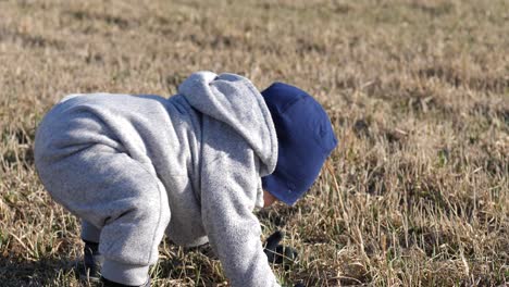 Cute-toddler-boy-concentrating-to-get-up-on-his-feet-on-big-open-rural-field,-falling-back-down-on-his-bum