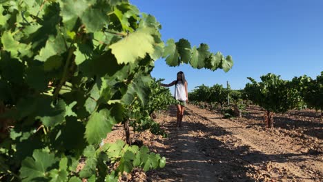 Woman-walking-through-the-vineyards-and-having-a-wine-sitting-at-a-table-3