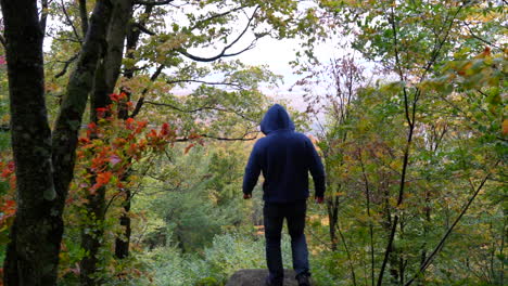 Man-reaching-mountain-summit-in-autumn-maple-leaf-forest