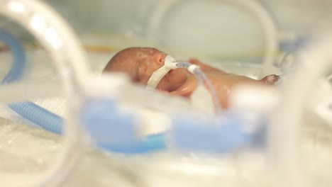 Premature-Newborn-Baby-in-the-Tub-1