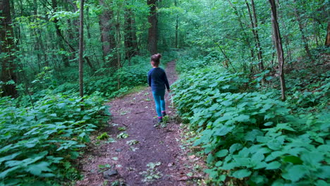 Little-girl-walking-on-a-footpath,-alone-in-dark,-spooky-forest-1