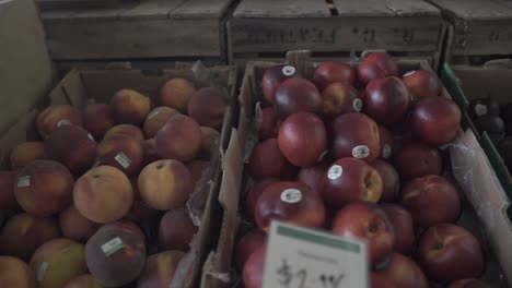 At-the-Supermarket:-Slow-dolly-in-on-Peaches-and-plums-with-prices-at-the-grocery-store