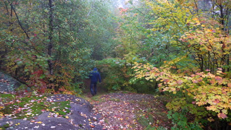 Hombre-Caminando-En-Un-Sendero-Forestal-En-El-Este-De-Canadá-Otoño-2