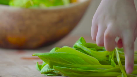 Close-up-of-young-girls-hands-washing-and-preparing-greens-for-eating-vegetables-in-the-kitchen