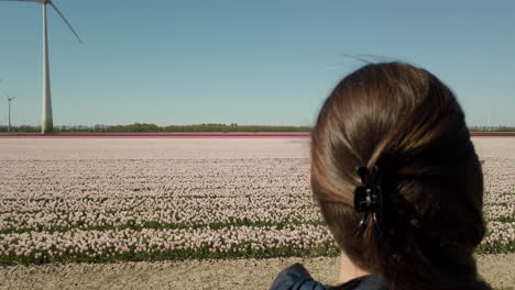 Close-up-shot-of-the-woman-is-watching-and-enjoying-the-view-of-the-white-tulip-fields-in-the-Netherlands