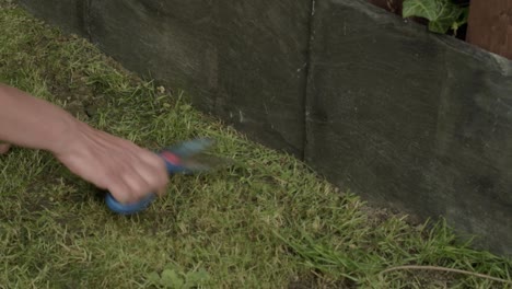 Woman-trimming-lawn-edge-border-with-scissors-in-garden