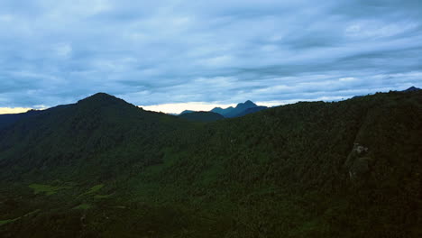 Bosque-Al-Amanecer-En-El-Parque-Nacional-De-Puerto-Montt
