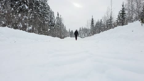 Man-seen-from-behind-walking-alone-on-snowy-forest-path