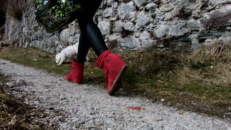 Small-Maltese-dog-and-woman-walking-in-red-high-heels-at-Castle-Kamen,-Slovenia
