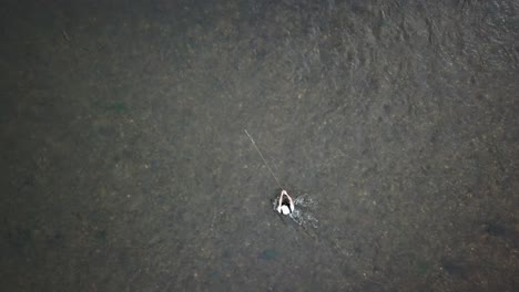 Drohne-Aus-Der-Vogelperspektive-über-Einem-Mann-Fliegenfischen-Im-Fluss-Provo-In-Den-Bergen-Von-Utah-6