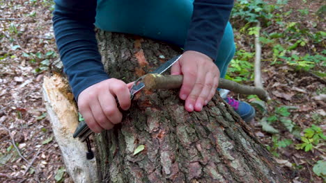 Hands-of-a-little-girl-or-boy-using-a-Swiss-knife,-sawing-a-piece-of-wood-in-the-forest,-nobody